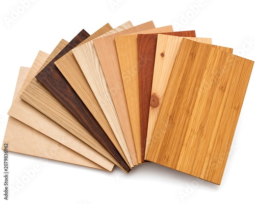 Assorted Wood Veneer Samples Against A White Background Displaying Various Tones And Grains woodgrain