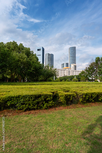 Photography city park with modern building background in shanghai
