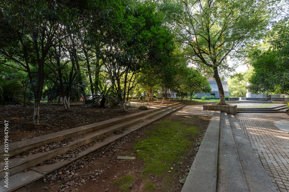 Fototapeta premium The road of City Park in China