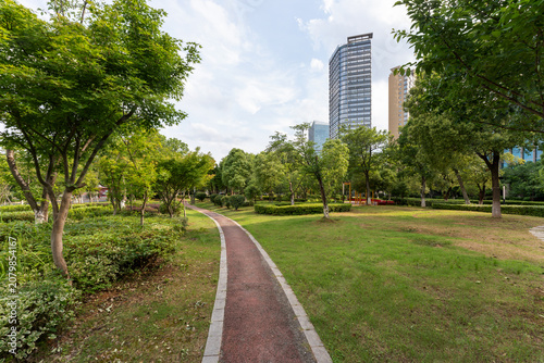 Photography city park with modern building background in shanghai