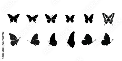 Photos Collection of black butterfly silhouettes in various poses and sizes