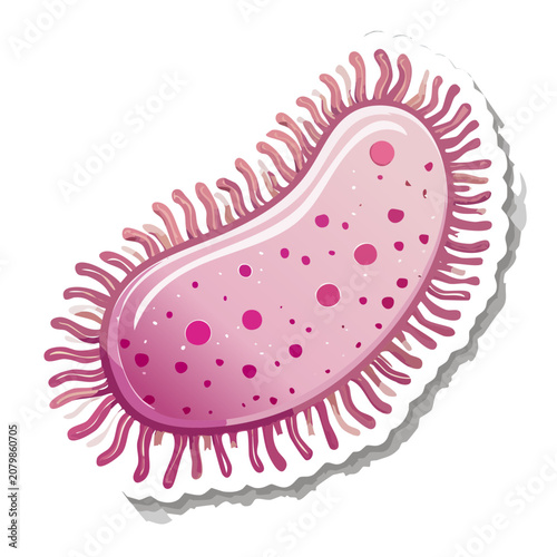 Pink Amoeba Vector Illustration