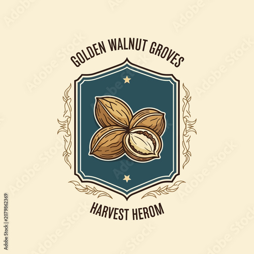 Obraz na plátně Golden walnut Groves vintage shield nut for organic agriculture plantation farmi