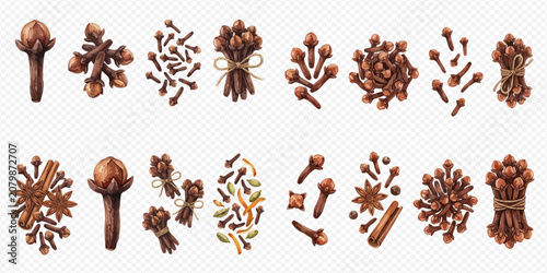 Cuadro en lienzo Set of aromatic dried cloves, a popular spice for cooking and baking, presented in various forms including whole buds and bundles