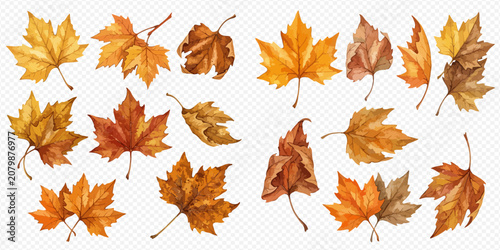 Canvastavla Autumn leaves watercolor set, fall foliage collection, colorful seasonal elements, natural decorative illustrations
