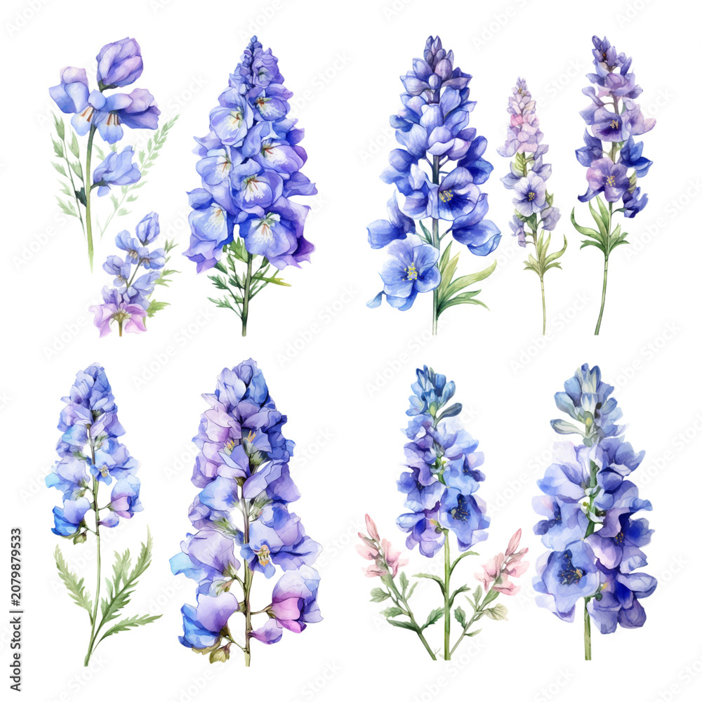 Obraz premium Hand-painted Watercolor Blue Delphinium Flower Collection for Botanical Illustrations and Floral Design
