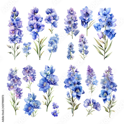 Foto Elegant Set of Blue and Purple Delphinium Watercolor Flowers Isolated on White B