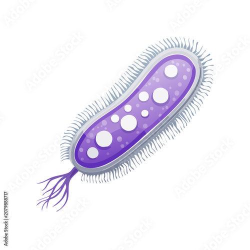 Purple Bacterium with Flagella Vector Illustration
