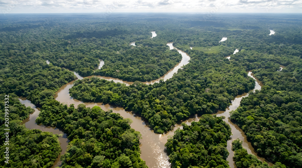 Naklejka premium Remote Sensing imagery of winding tropical rainforest river systems captured from a high altitude aerial view during a bright sunny day