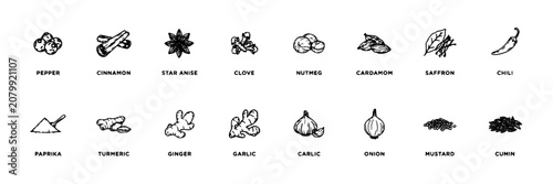 Spices Illustrated as Icons in Black and White Vector Style Featuring Pepper, Cinnamon, Star Anise with Clove and Nutmeg Elements