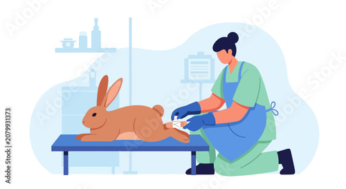 Veterinarian treating a rabbit during medical examination or procedure.