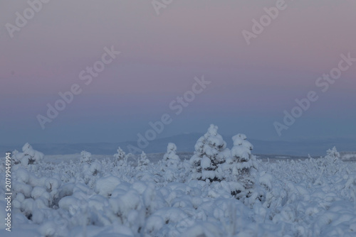 Bright pink sky on a winter day in Alaska