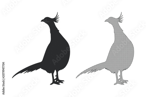 Elegant pheasant silhouette vector, stylized game bird illustration, black and gray graphic design element, hunting and wildlife concept art