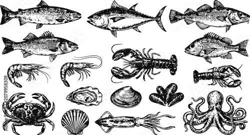 Assorted seafood illustrations with detailed linework and vintage etching style on a white background for culinary design