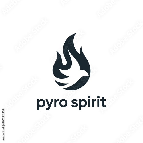 Creative burning bird logo concept fire dove graphic