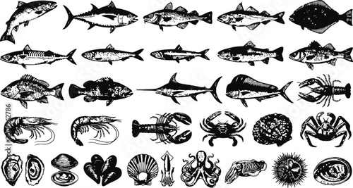 Foto Vintage seafood collection with detailed illustrations of fish crustaceans and s