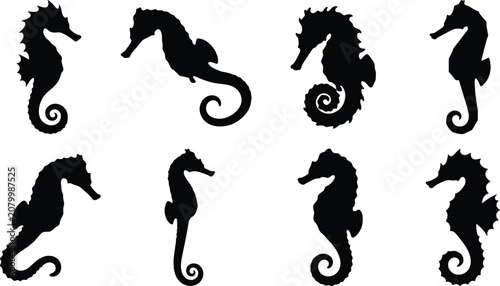 Seahorse Silhouette Icon Set with Marine Sea Horse Shapes, Ocean Wildlife Vector Collection