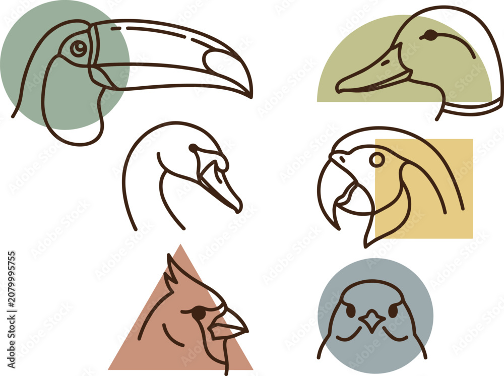 Fototapeta premium Minimalist Bird Head Outline Collection Featuring Toucan Duck Swan Parrot Cardinal and Chick Portrait Line Art Vector Set