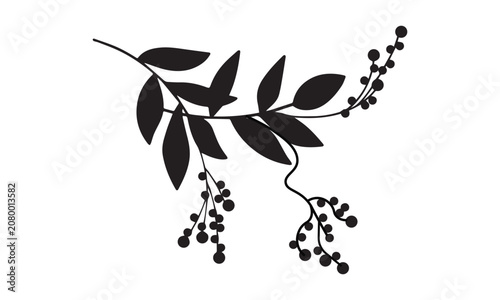 Black and White Flower Silhouette Vector with Botanical Leaves Branches and Floral Elements for Nature Pattern Decoration Garden Illustration Design