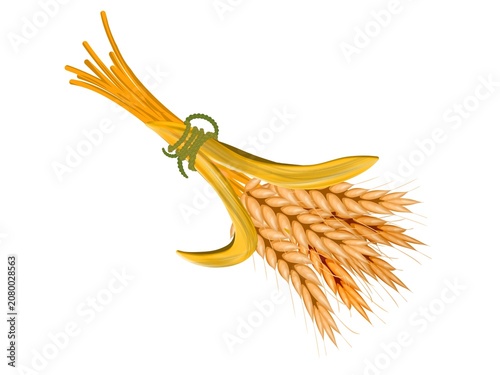 Fotografie Cartoon sheaf of golden wheat ears illustration