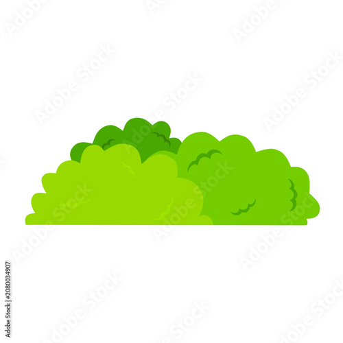 Green bushes on a white background
