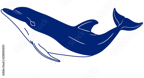 Line art illustration of a dolphin swimming upwards freely and nimbly