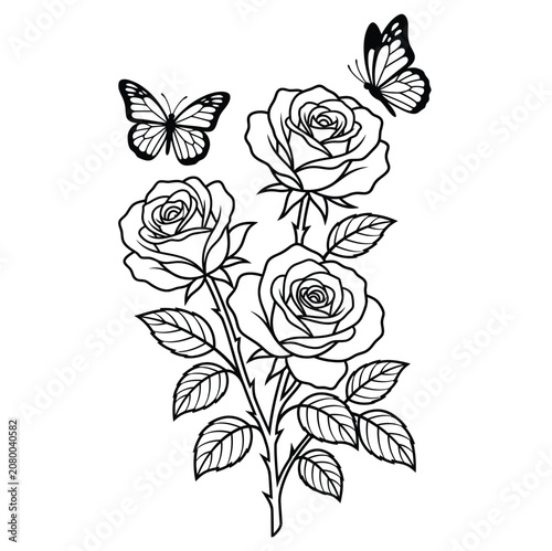 Beautiful rose flowers bouquet with butterflies