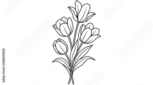 Hand drawn bouquet of tulips, floral line art illustration