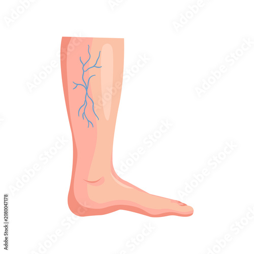 Foto Human lower leg and foot showcasing superficial venous structures