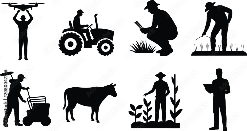 Fototapeta premium Modern and traditional farming activities silhouettes with drone technology, tractor driving, crop inspection, planting, livestock care, and digital tools illustration