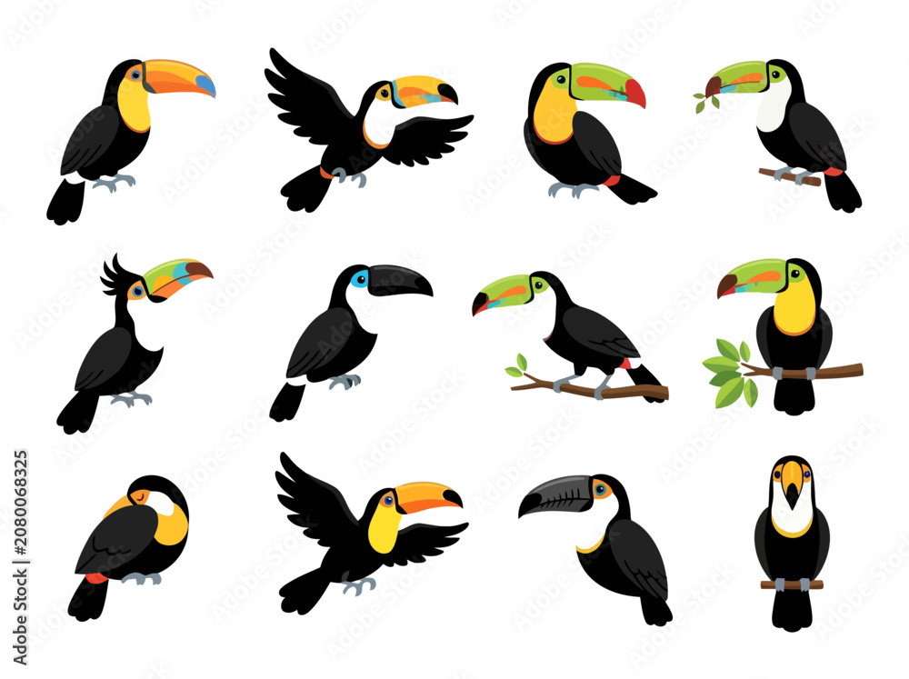 Fototapeta premium A collection of twelve colorful toucan bird illustrations in various poses and styles.