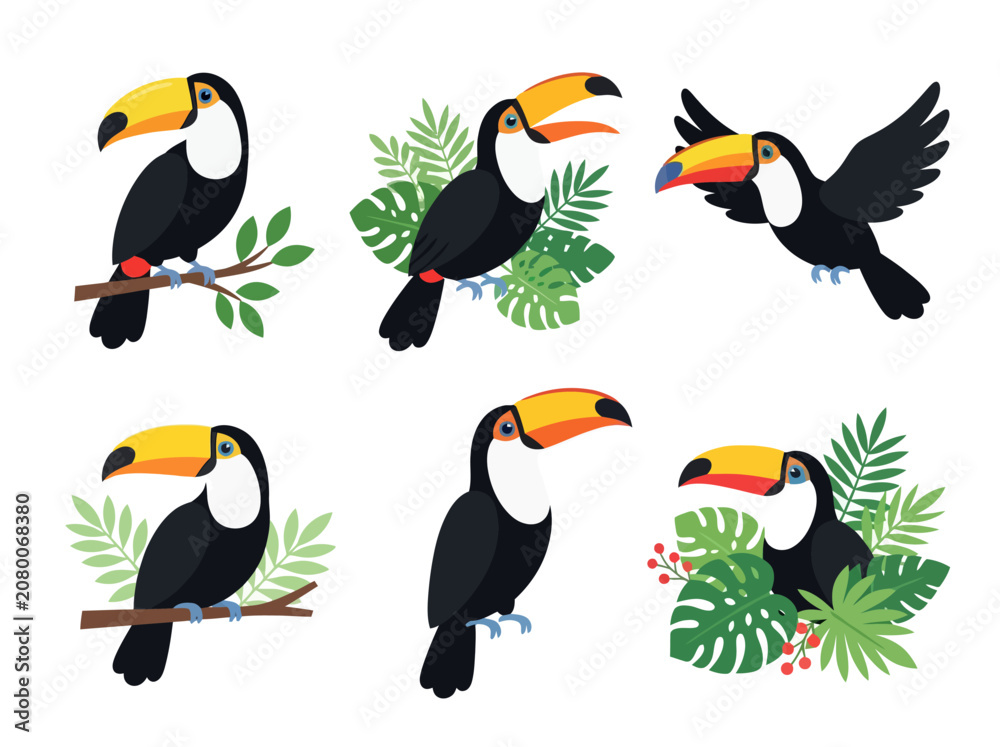 Fototapeta premium A collection of six colorful toucan bird illustrations in various poses and settings.