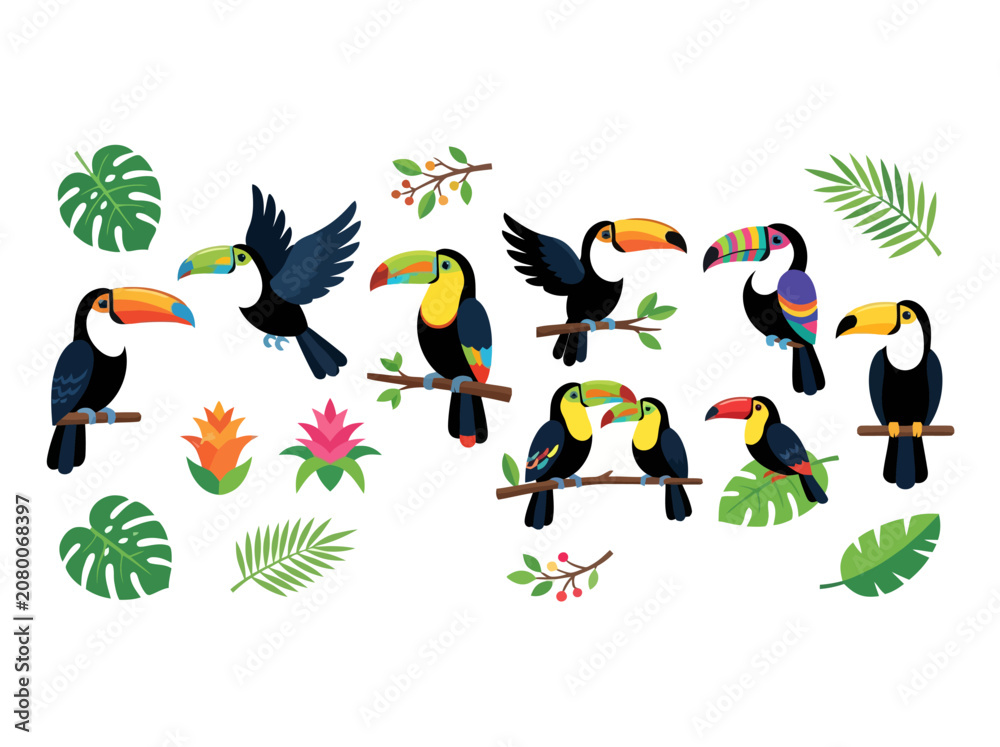Fototapeta premium A collection of colorful toucan birds and tropical jungle foliage elements.