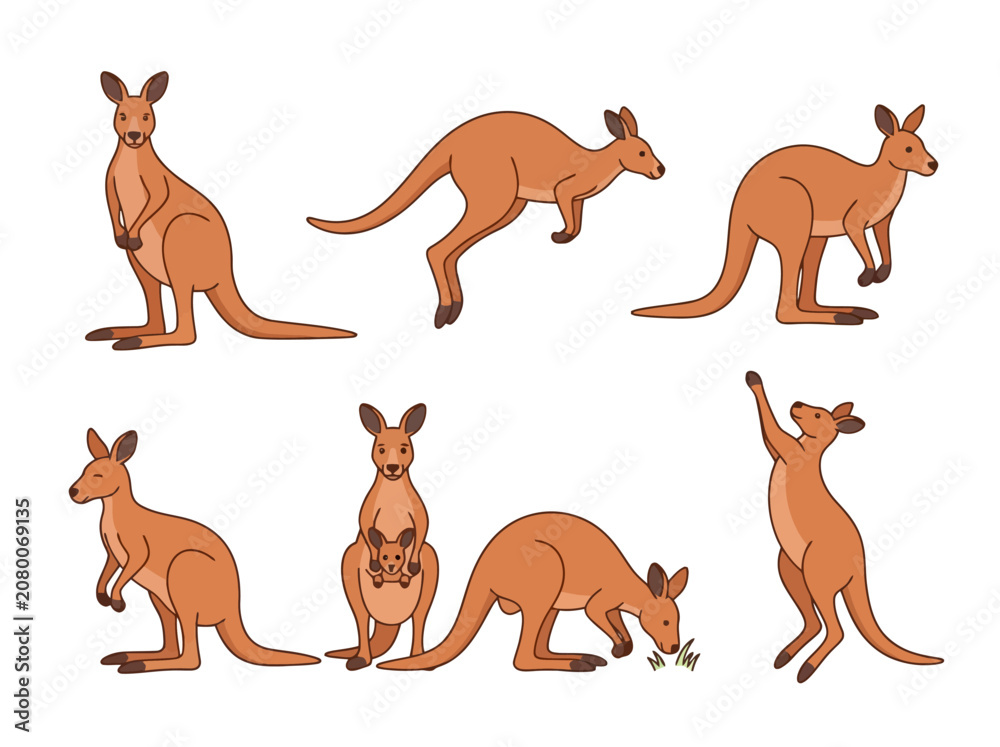 Obraz premium A collection of six illustrated kangaroos in various poses and activities.