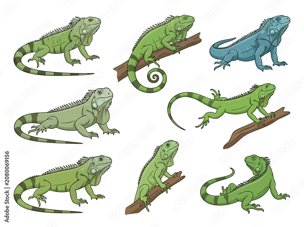 Fototapeta premium A collection of hand drawn green iguana illustrations in various poses.
