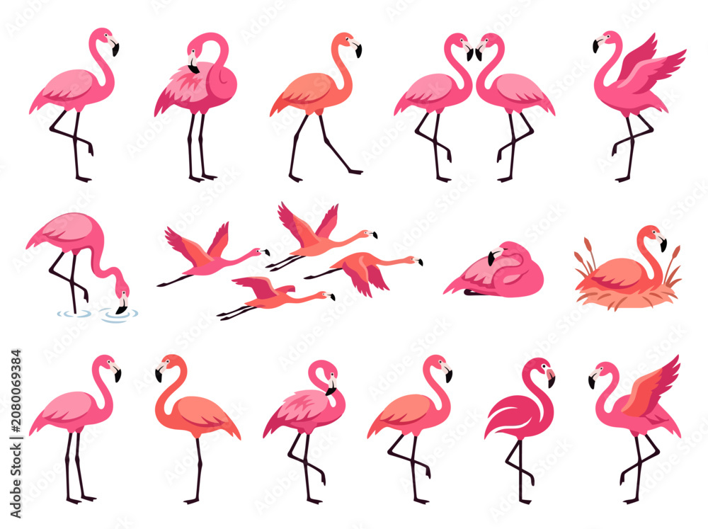 Obraz premium A collection of various pink flamingo illustrations in different poses and activities.