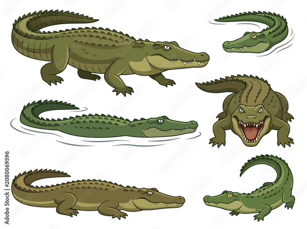 Fototapeta premium A collection of cartoon crocodiles in various poses and actions.