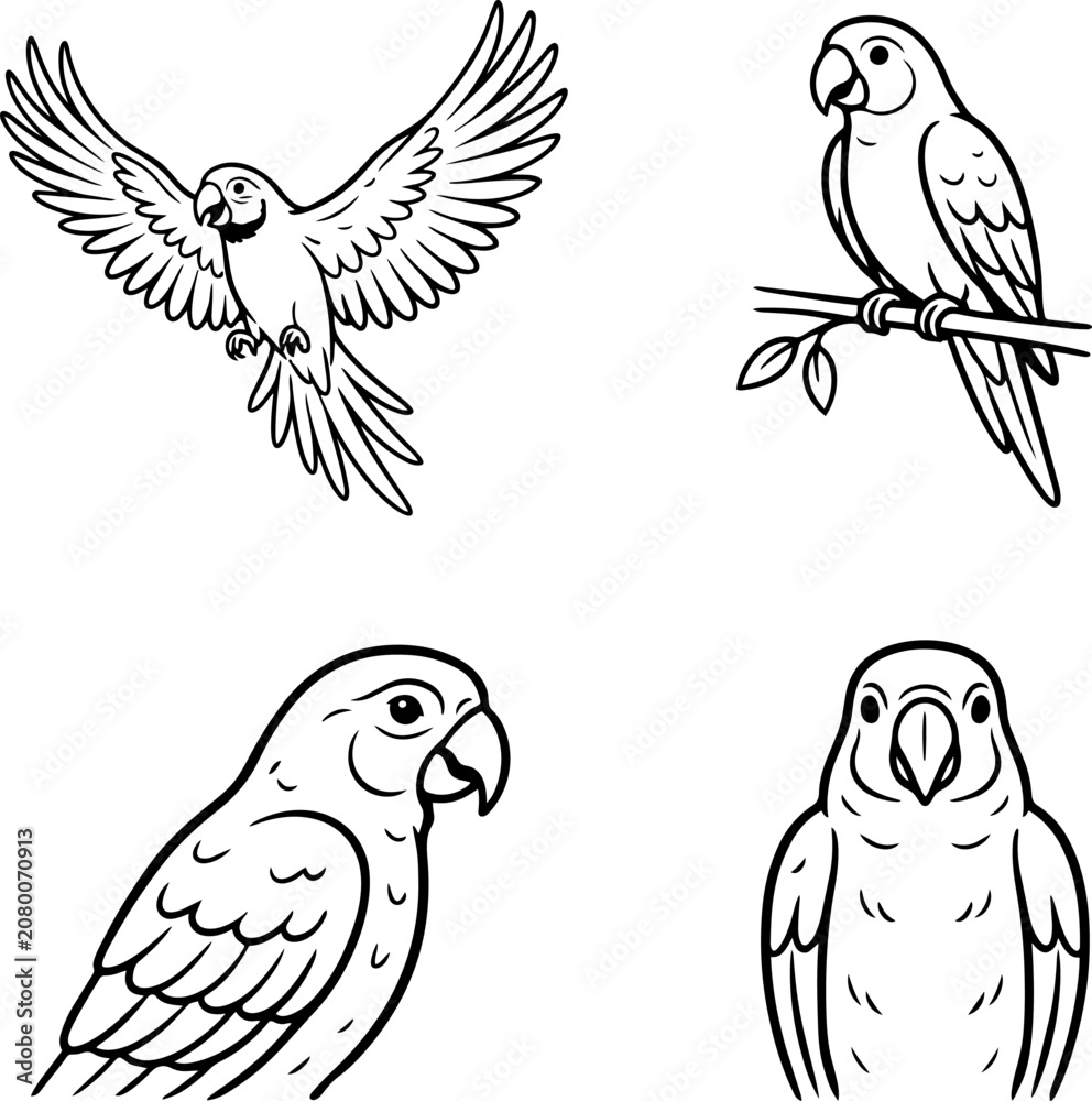 Fototapeta premium Four parrot outlines in various poses with wings spread perched and front facing
