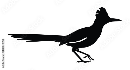 Cuadro en lienzo Roadrunner silhouette a dynamic black profile of the swift desert bird in motion