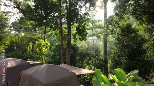 Morning sunlight filters through a lush tropical forest, illuminating cozy glamping tents and vibrant green foliage in a peaceful nature retreat. A women enjoying her breakfast outside her tent.