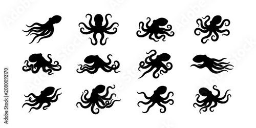 Foto Set of black octopus silhouettes isolated on white background