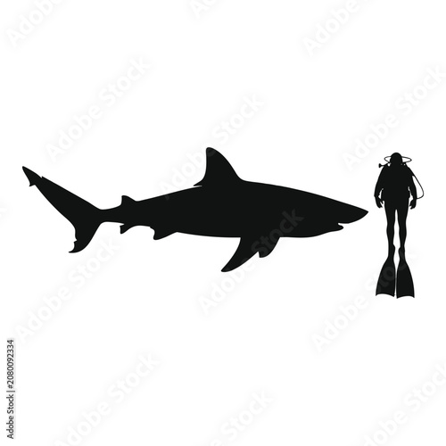 Shark and scuba diver silhouette in underwater marine life