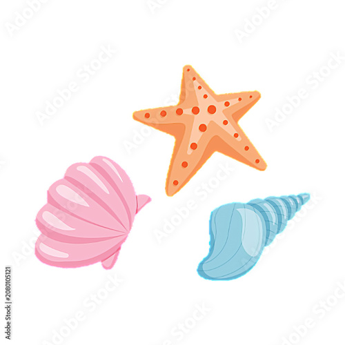 Set of colorful seashells and starfish marine elements