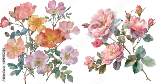 pink flowers on white background