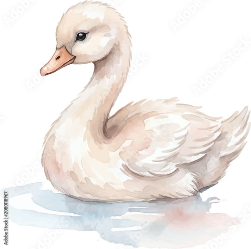 Soft and fluffy white watercolor swan chick swimming in calm blue water, perfect for naturethemed designs and bird enthusiasts.