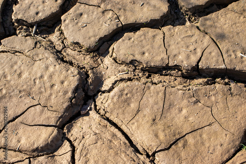Canvas-taulu Dry and cracked soil texture caused by global warming and severe drought conditions