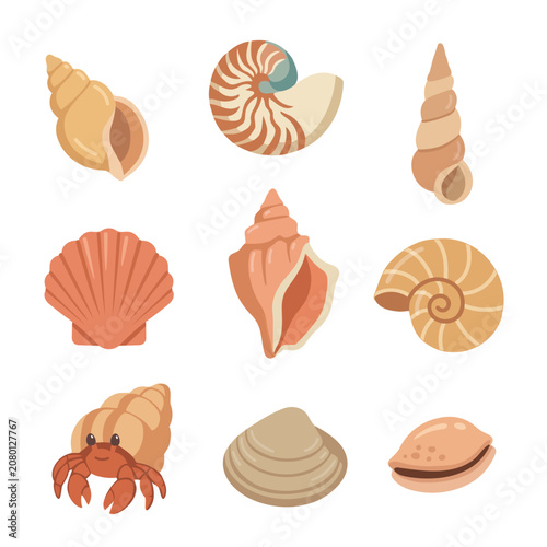 Summer beach element set with detailed cartoon sea shell and spiral snail shell flat vectors.