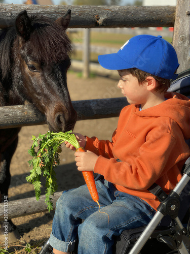 Child's Joyful Pony Feeding