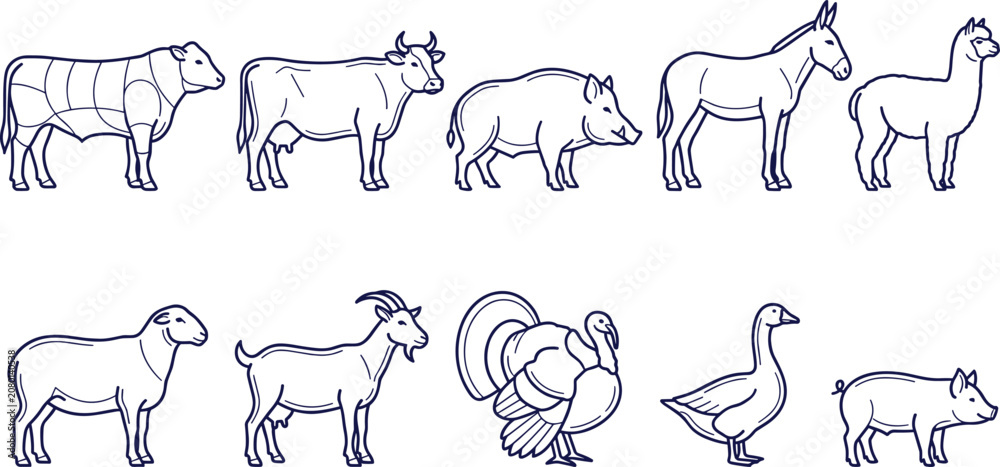 Fototapeta premium Farm Animal Outline Collection Featuring Cow Bull Pig Donkey Alpaca Sheep Goat Turkey Goose and Livestock Vector Illustration Set