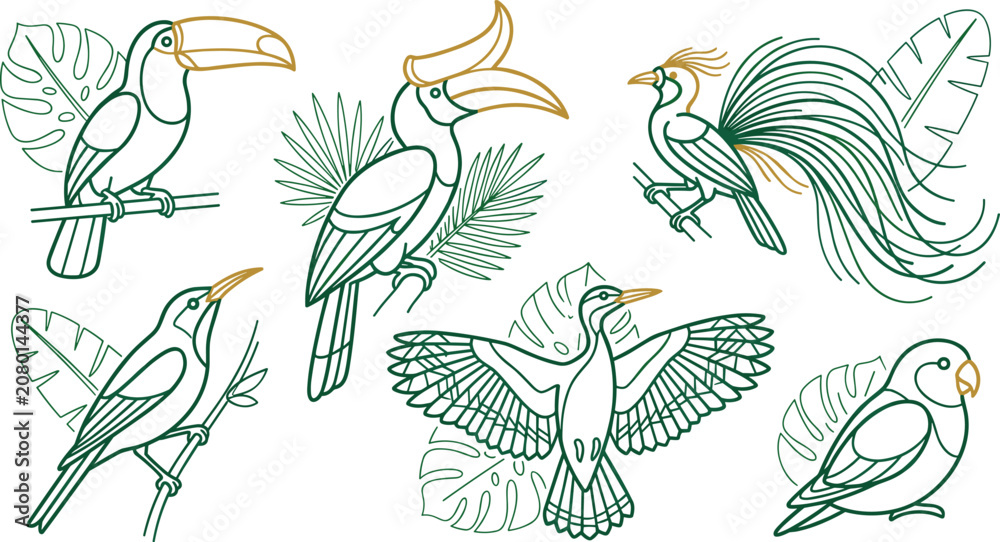 Fototapeta premium Tropical Exotic Bird Illustration Collection Featuring Toucan Hornbill Bird of Paradise Parrot and Monstera Foliage Wildlife Vector Set